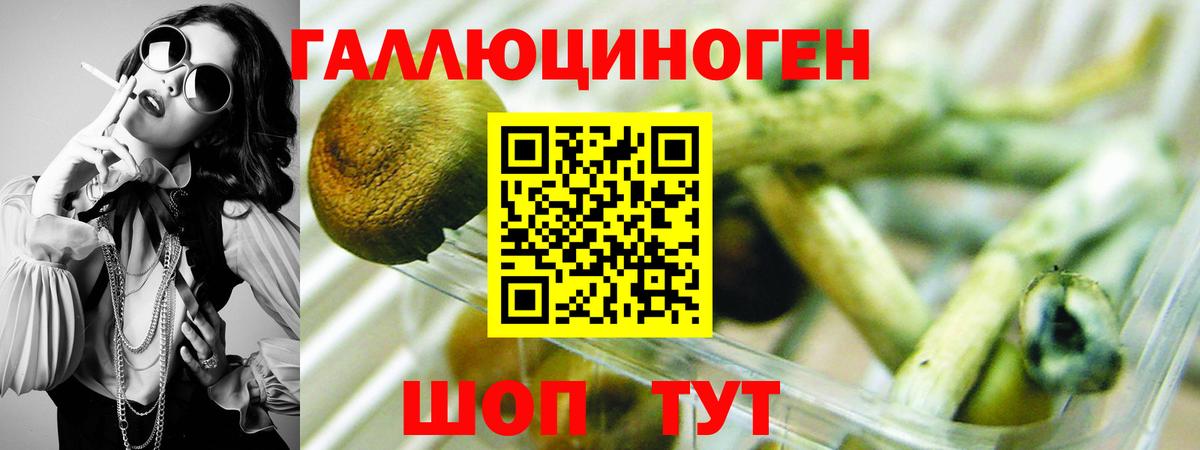 Галлюциногенные грибы Psilocybe  Галлюциногенные грибы мухоморы  Нижнеудинск  Вход с VPN 