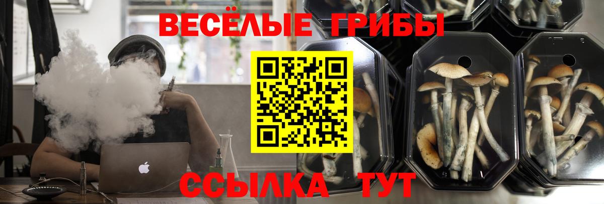 Галлюциногенные грибы мухоморы Нижнеудинск